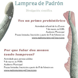 Foto do cartel de actividades das xornadas gastronomicas da lamprea.