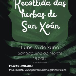 Recollida das Herbas de San Xoán