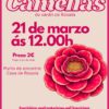 Visita guiada das Camelias do xardín de Rosalía